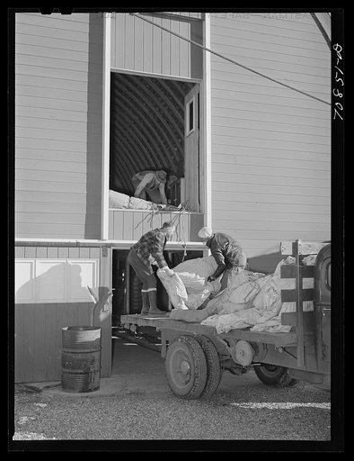 Untitled photo, possibly related to: Checking in equipment from FSA (Farm Security Administration) mobile camps as it arrives at the FSA permanent camp at Caldwell, Idaho