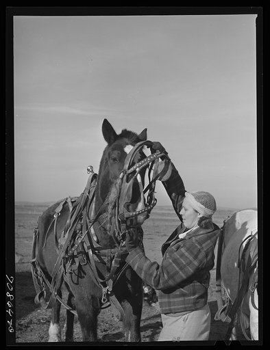 Farm woman (widow) on Black Canyon Project. Canyon County, Idaho. The FSA (Farm Security Administration) gave her a loan