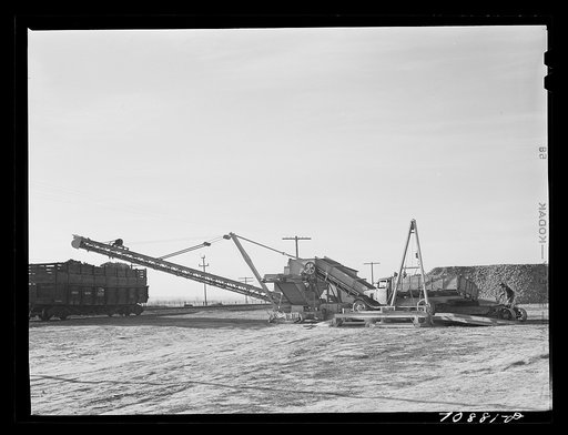 Untitled photo, possibly related to: Sugar beet loader by railroad. Canyon County, Idaho