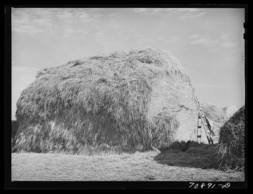 Hay for cattle feed on farm on Black Canyon Project. Canyon County, Idaho