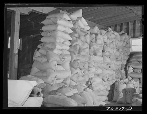 Untitled photo, possibly related to: Sacks with red clover seed. Ontario, Oregon