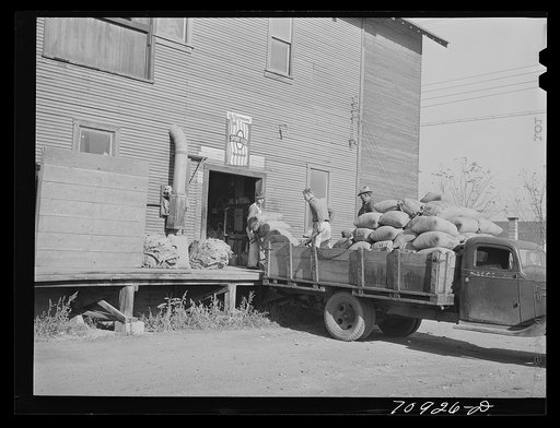 Farmer brings seed into seed mill. Ontario, Oregon