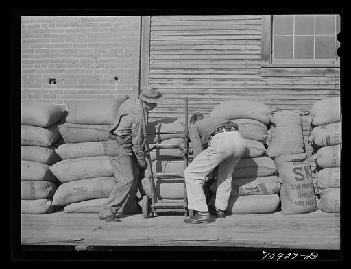 Sacked seed at mill. Ontario, Oregon