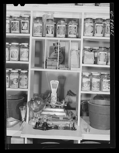 "[Untitled photo, possibly related to:   Garden seed for sale. Ontario, Oregon]"