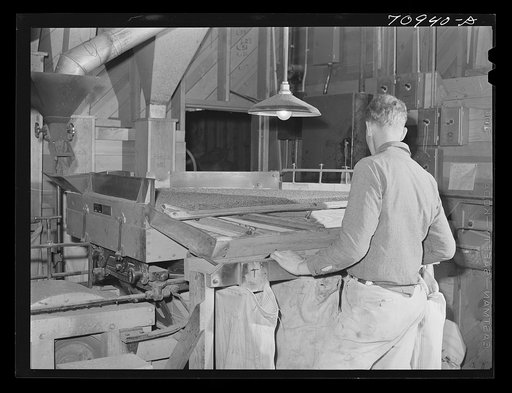Sacking red clover seed at seed mill. Ontario, Oregon