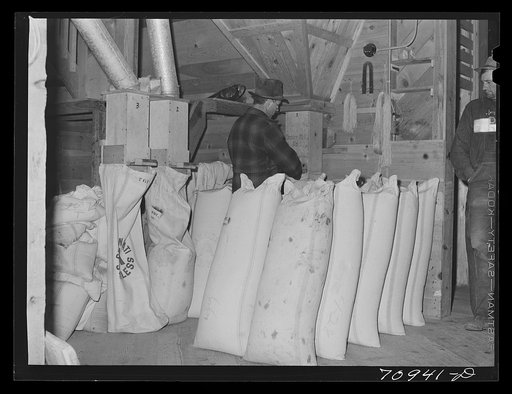 Sacking seed. Seed mill, Ontario, Oregon