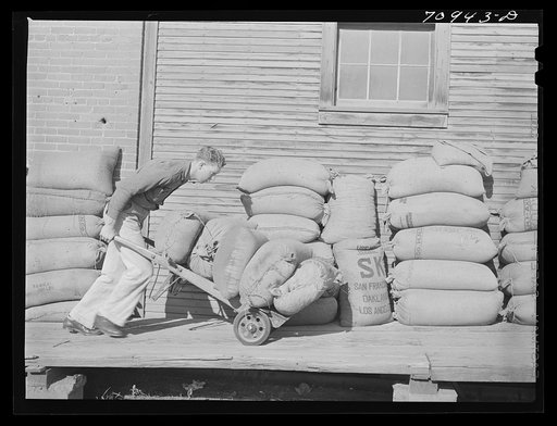 Sacked seed at seed mill. Ontario, Oregon