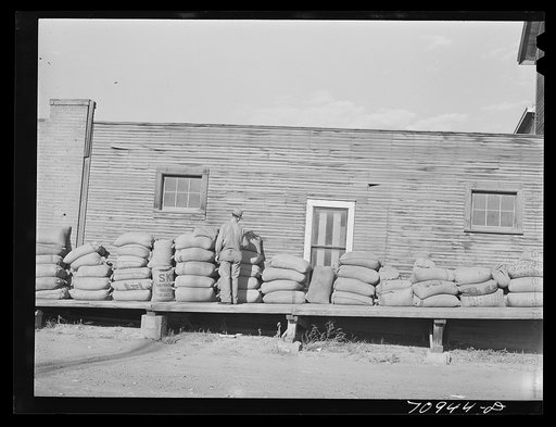 Seed. Ontario, Oregon