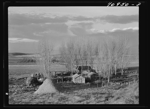 Canyon County, Idaho. A farmstead on the Black Canyon reclamation project administered by the United States Department of the Interior, Bureau of Reclamation