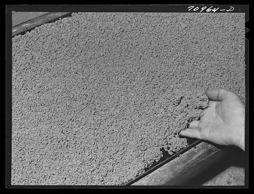 Salinas, California. Intercontinental Rubber Producers. Guayule rubber "worms." In the factory the guayule shrub is put through various choppers and crushers while mixed with liquids. After being crushed and rolled, it goes to settling tanks where these "worms" form as the bagasse sinks to the botto