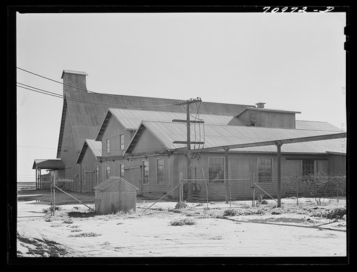Salinas, California. Intercontinental Rubber Producers. This factory can produce 10,000 pounds of rubber from guayule daily