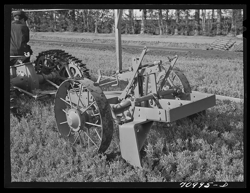 Salinas, California. Intercontinental Rubber Producers. Demonstration of digger used in guayule nursery. In actual operations, the tops of the plants are cut off by the mower before they are dug. When transplanted, the guayule seedlings weigh about two grams