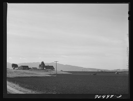Untitled photo, possibly related to: Monterey County, California. Harrowing a field in river valley land which will be planted in beans