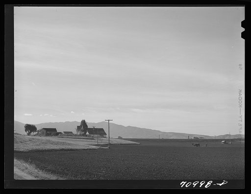 Monterey County, California. Harrowing a field in river valley land which will be planted in beans