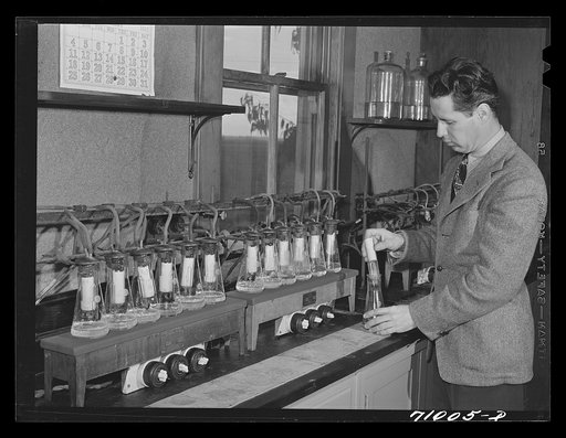 Salinas, California. Intercontinental Rubber Producers. Harry Baucher, head chemist, runs rubber extraction tests on guayule