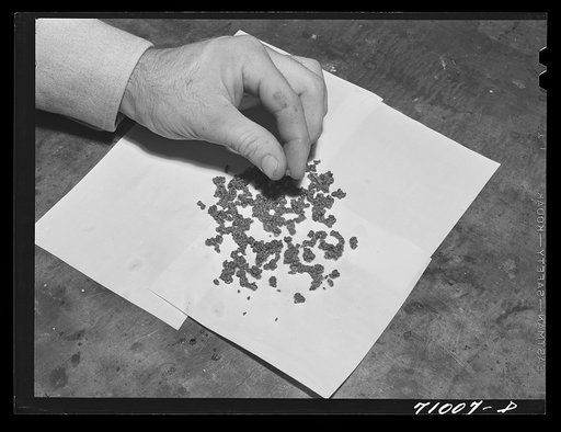 Untitled photo, possibly related to: Salinas, California. Guayule rubber "worms," the form that the rubber assumes as the bagasse sinks to the bottom of settling tanks at Intercontinental Rubber Producers