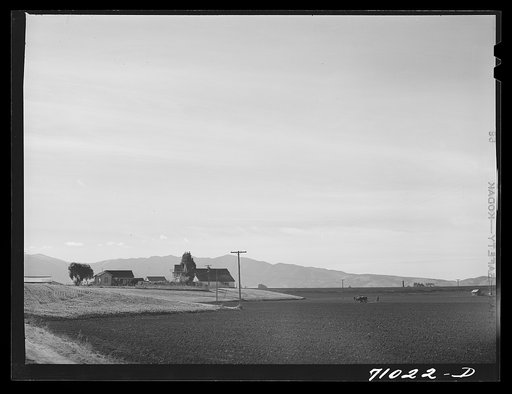 Untitled photo, possibly related to: Monterey County, California. Harrowing a field in river valley land which will be planted in beans
