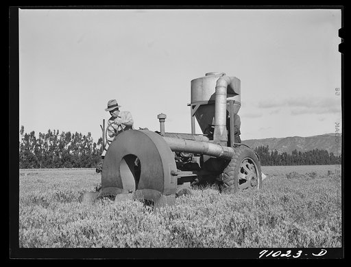 Salinas, California. Intercontinental Rubber Producers. Gathering guayule seed with a vacuum machine