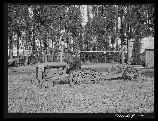 Salinas, California. Intercontinental Rubber Producers. A machine which digs guayule seedlings in the nursery. After the seedlings are dug, they must be separated by hand before transplanting