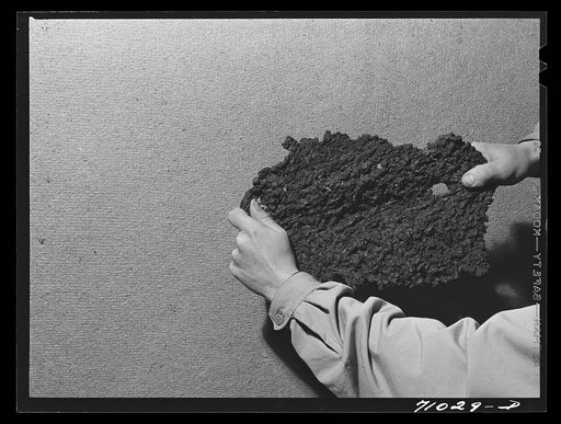 Salinas, California. Intercontinental Rubber Producers. Guayule rubber after it has been through the dryer and first roller in the factory. In later operations the rubber is heated and put under pressure to form blocks of rubber