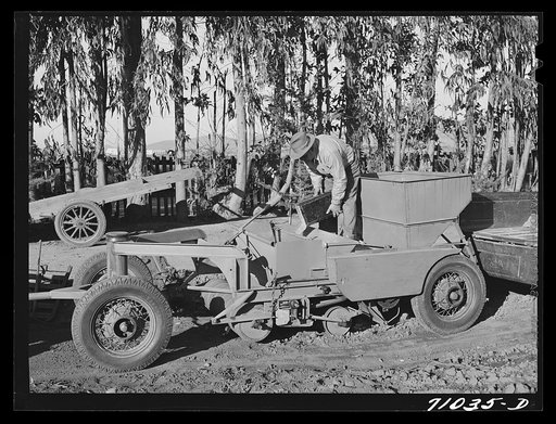 Salinas, California. Putting seed into the planter used in guayule nursery of the Intercontinental Rubber Producers