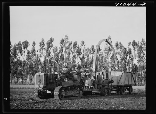 Salinas, California. Combined guayule harvester and chopper designed and built by Intercontinental Rubber Producers