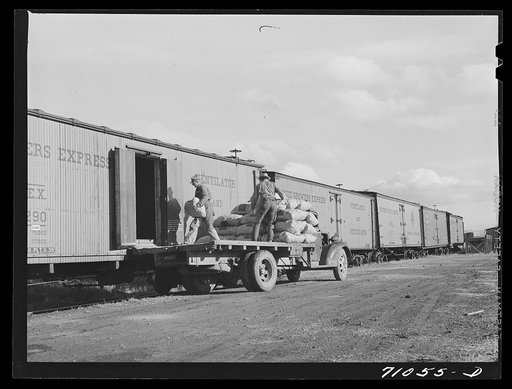 Klamath County, Oregon. Loading sacks of potatoes into railroad cars for shipment