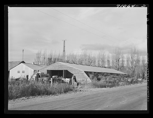 Potato cellar with trucks which will transport sacked potatoes to the railroad. Klamath County, Oregon. More than 20,000 acres in the county are planted in potatoes