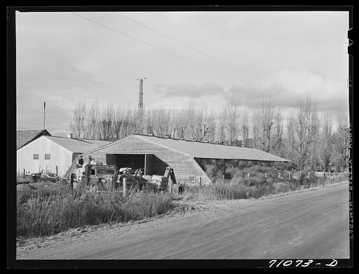 Untitled photo, possibly related to: Klamath County, Oregon. Potato cellar with men sacking potatoes for shipment