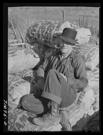Sacker rests on sacked potatoes. Klamath County, Oregon