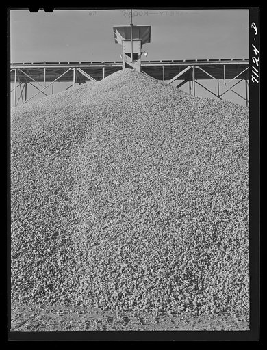 Gravel to be used in construction of Shasta Dam. Shasta County, California