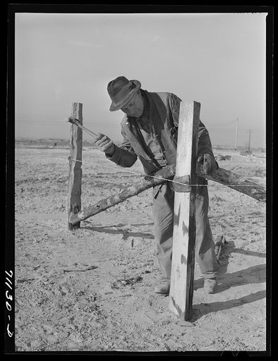 Mr. Palmer, FSA (Farm Security Administration) client living on Black Canyon Project, builds a fence. Canyon County, Idaho