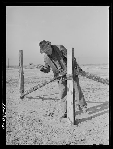 Untitled photo, possibly related to: Mr. Palmer, FSA (Farm Security Administration) client living on Black Canyon Project, builds a fence. Canyon County, Idaho