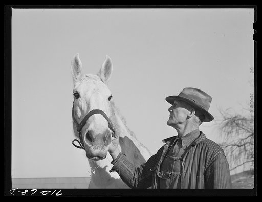 Untitled photo, possibly related to: Sonoma County, California. Foreman on a chicken ranch