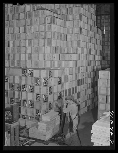 Petaluma, Sonoma County, California. Crates for eggs. Petaluma, which is the center of the intensive egg producing area, calls itself "the world's egg basket"