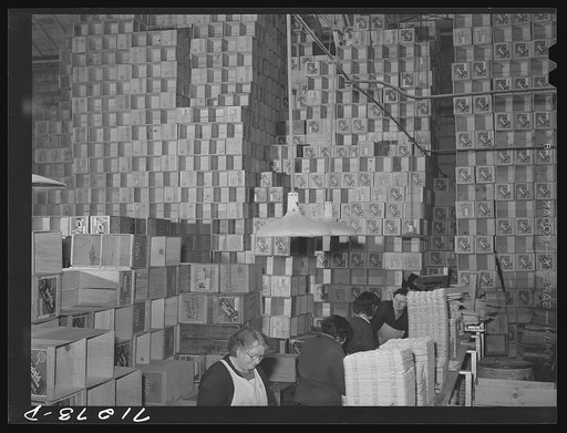 Petaluma, Sonoma County, California. Egg packing plant