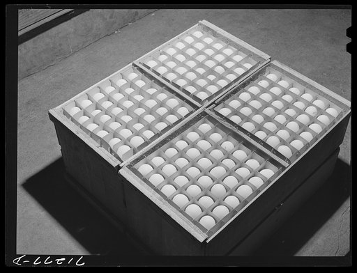 Sonoma County, California. Eggs