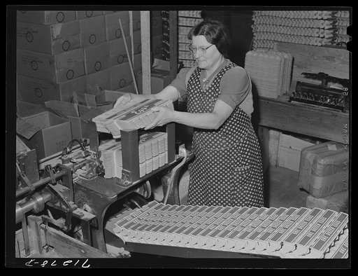 Petaluma, Sonoma County, California. Cardboard cartons into which eggs will be packed