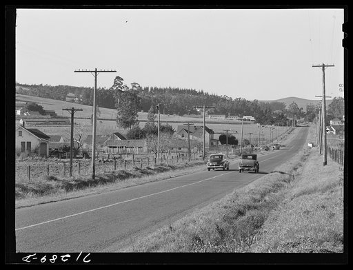 Sonoma County, California. Highway through the chicken ranch country