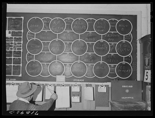 Petaluma, Sonoma County, California. Diagram of storage of various grains handled by a feed store. The customers of this store are the chicken raisers