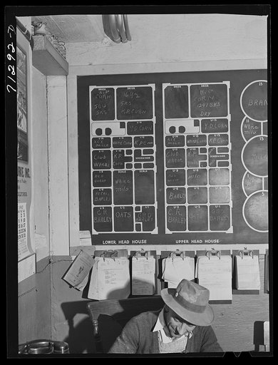 Petaluma, Sonoma County, California. Diagram of storage of various grains handled by a feed store. The customers of this store are the chicken raisers
