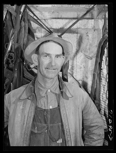 Sonoma County, California. Hired man on a chicken ranch