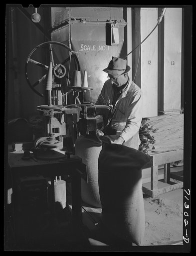 Petaluma, Sonoma County, California. Filling sacks with feed at a feed mill