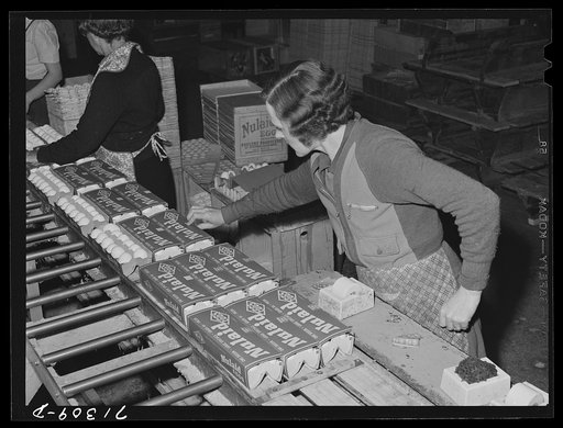 Petaluma, Sonoma County, California. Packing eggs