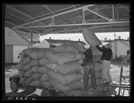 Petaluma, Sonoma County, California. Feed at the warehouse