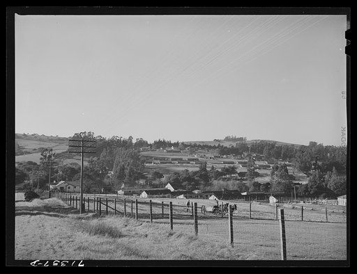 Sonoma County, California. Chicken houses dot the low, rolling hills here, where eggs are produced on a large scale