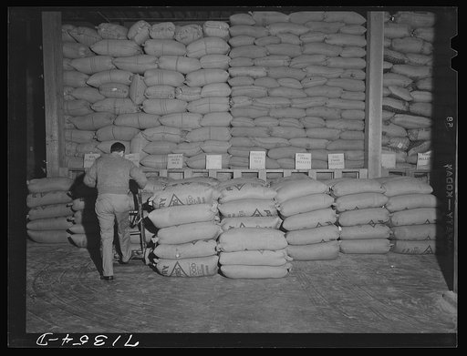 Petaluma, Sonoma County, California. In the feed warehouse