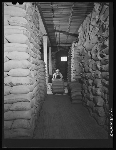 Petaluma, Sonoma County, California. Feed warehouse. Vast amounts of feed are handled through the cooperatives for the chicken ranchers