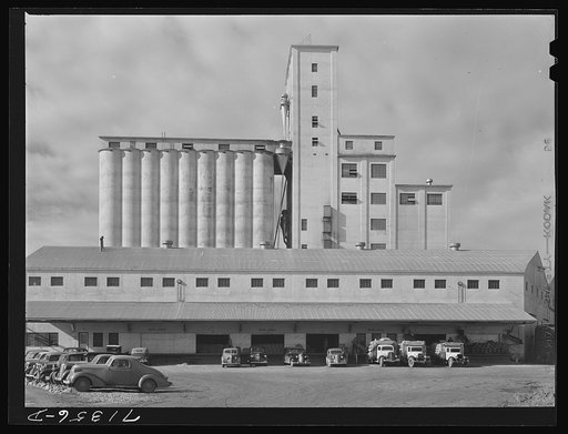 Petaluma, Sonoma County, California. Feed warehouse and elevator