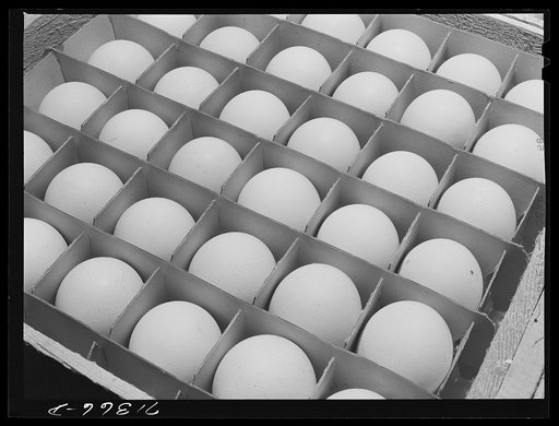 Sonoma County, California. Eggs